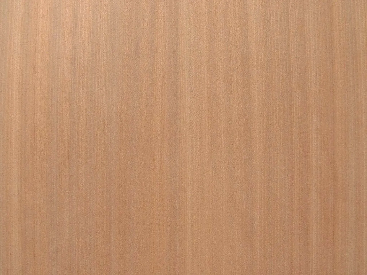 RIBBON STRIPE SAPELE.jpg