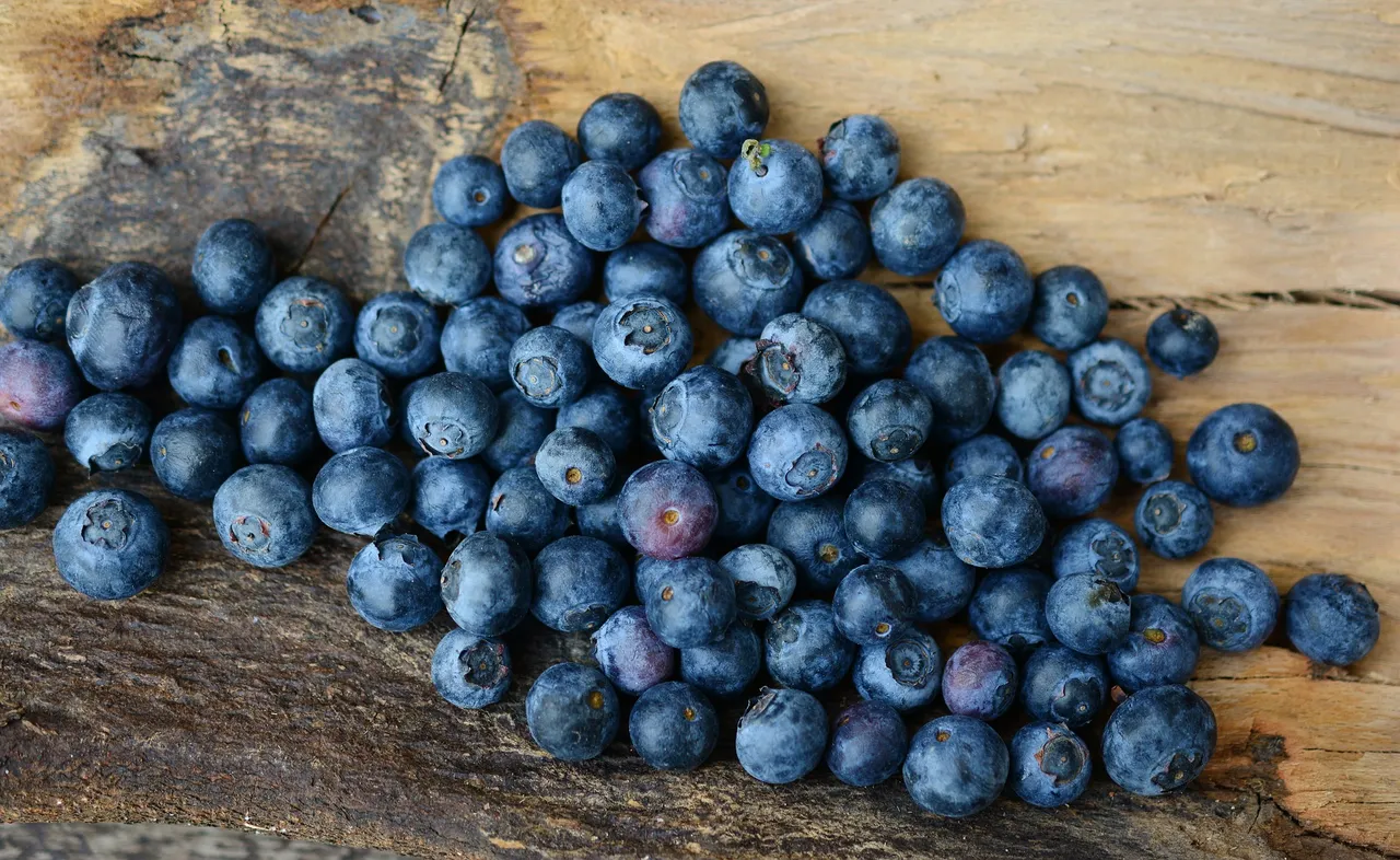 blueberries-2270379_1920.jpg