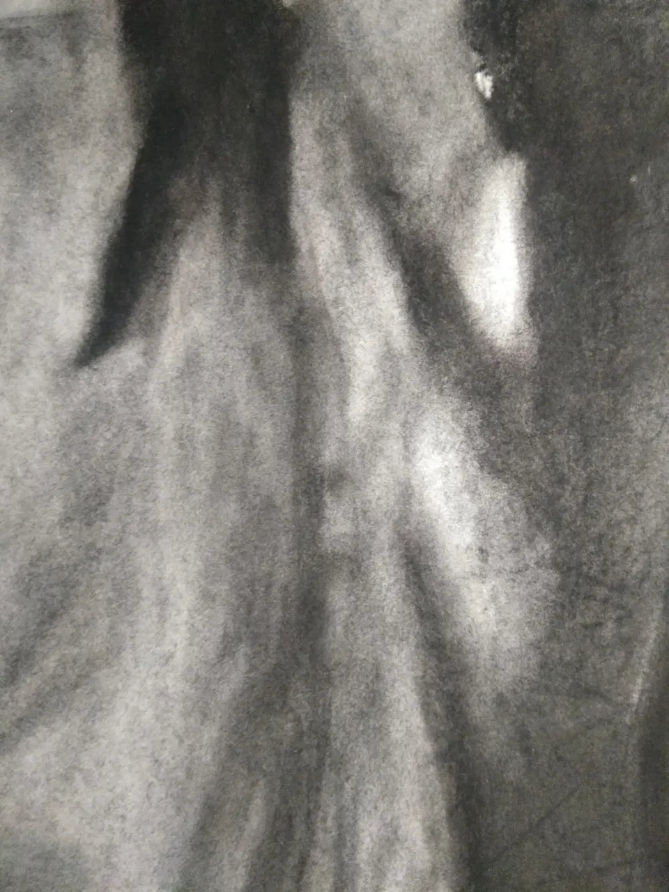 charcoal drawing 999.jpg