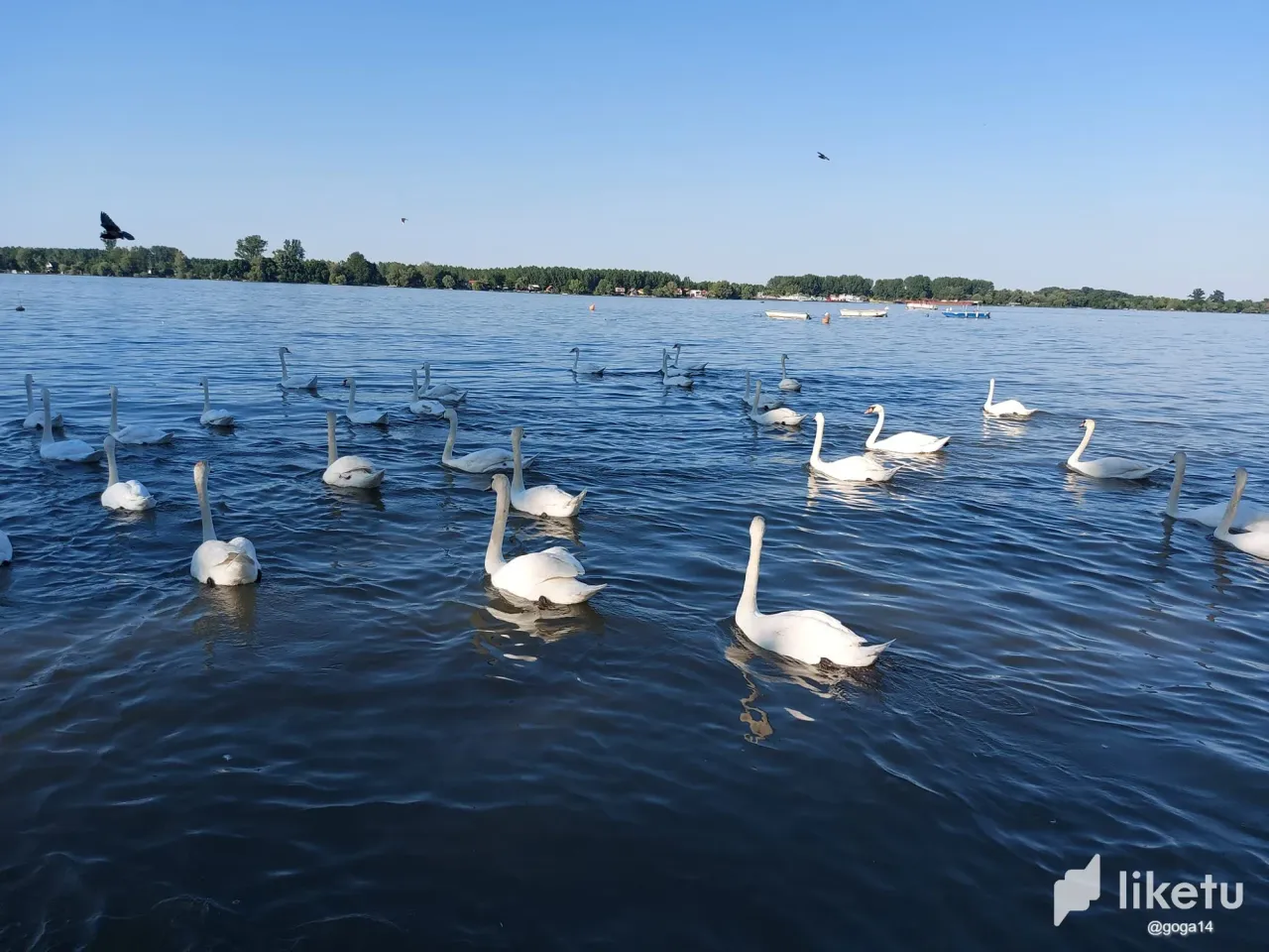 clht73oiv00uh8dszbe3zf0jg_347614955_633322828260920_6248904860861278424_n.webp