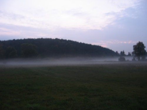 wilkomija-mga