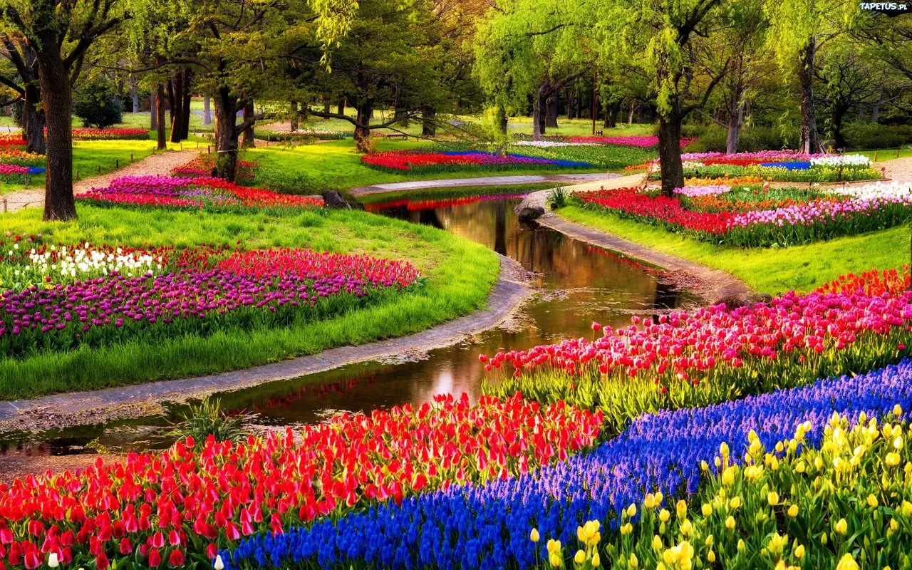 Keukenhof