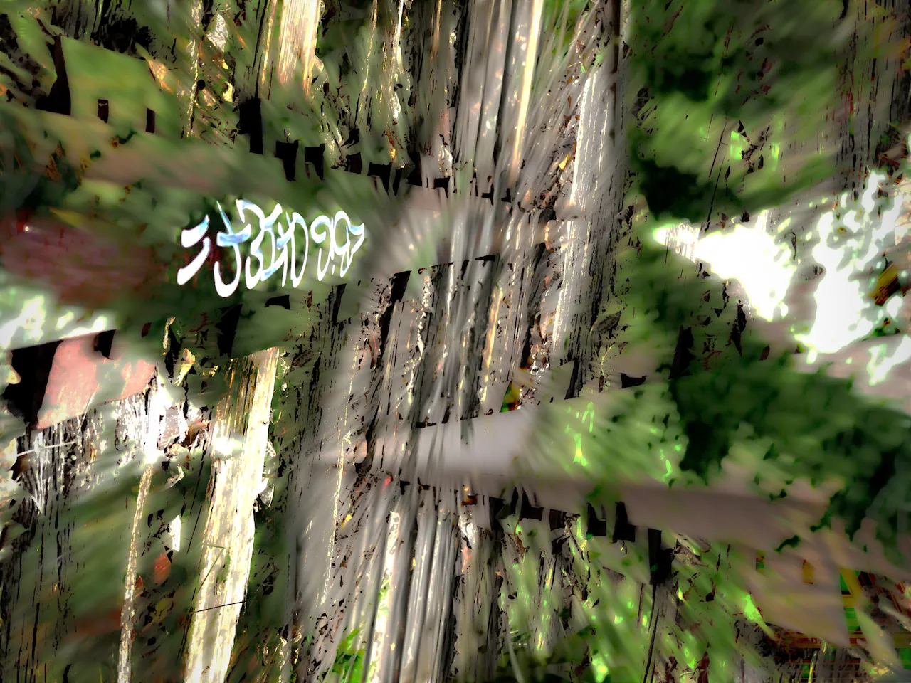 d.png