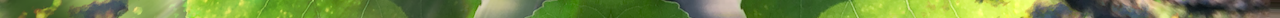 b.png