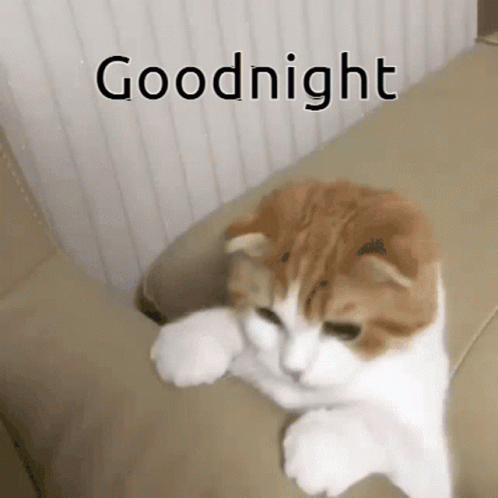 untitled.gif