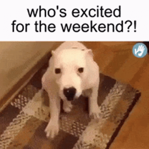 untitled.gif