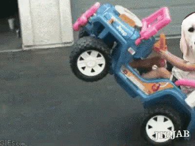 untitled.gif