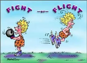 fight or flight response