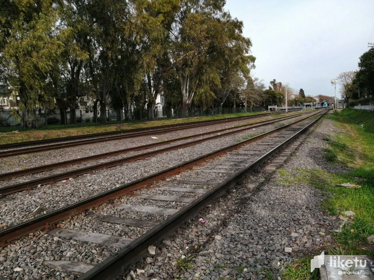 clm8lh6eu01ca64sz85764r44_photo_2023-09-06_21-46-07.webp