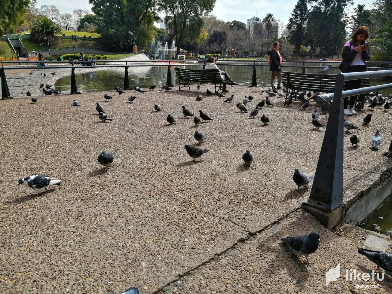 clmb8wfv601jt6uszd7033uz1_photo_2023-09-08_19-33-13.webp