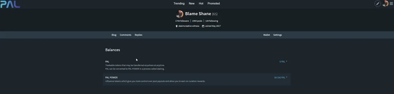 2019-06-09 09_51_39-Blame Shane (@swelker101) — PALNet.png