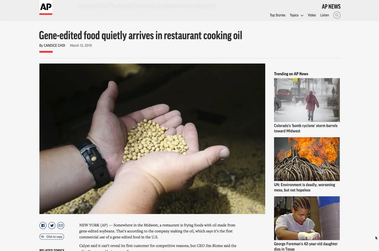 Gene-edited food quietly arrives in restaurant cooking oil.jpg