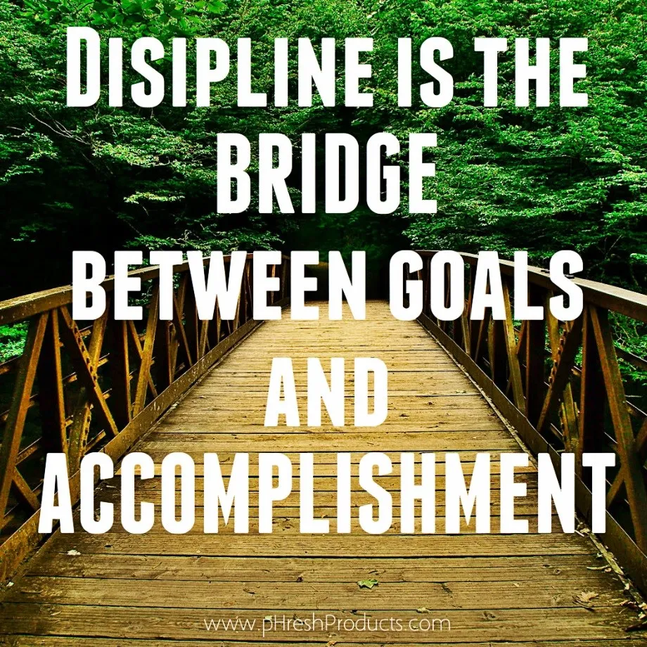 discipline is the bridge between goals and accomplishments.jpg