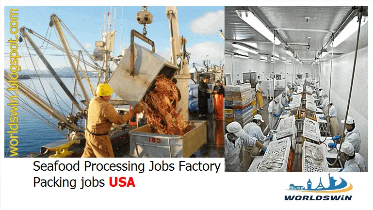 Jobs in Fresh Frozen Seafood Processing Plants in Alaska.PNG