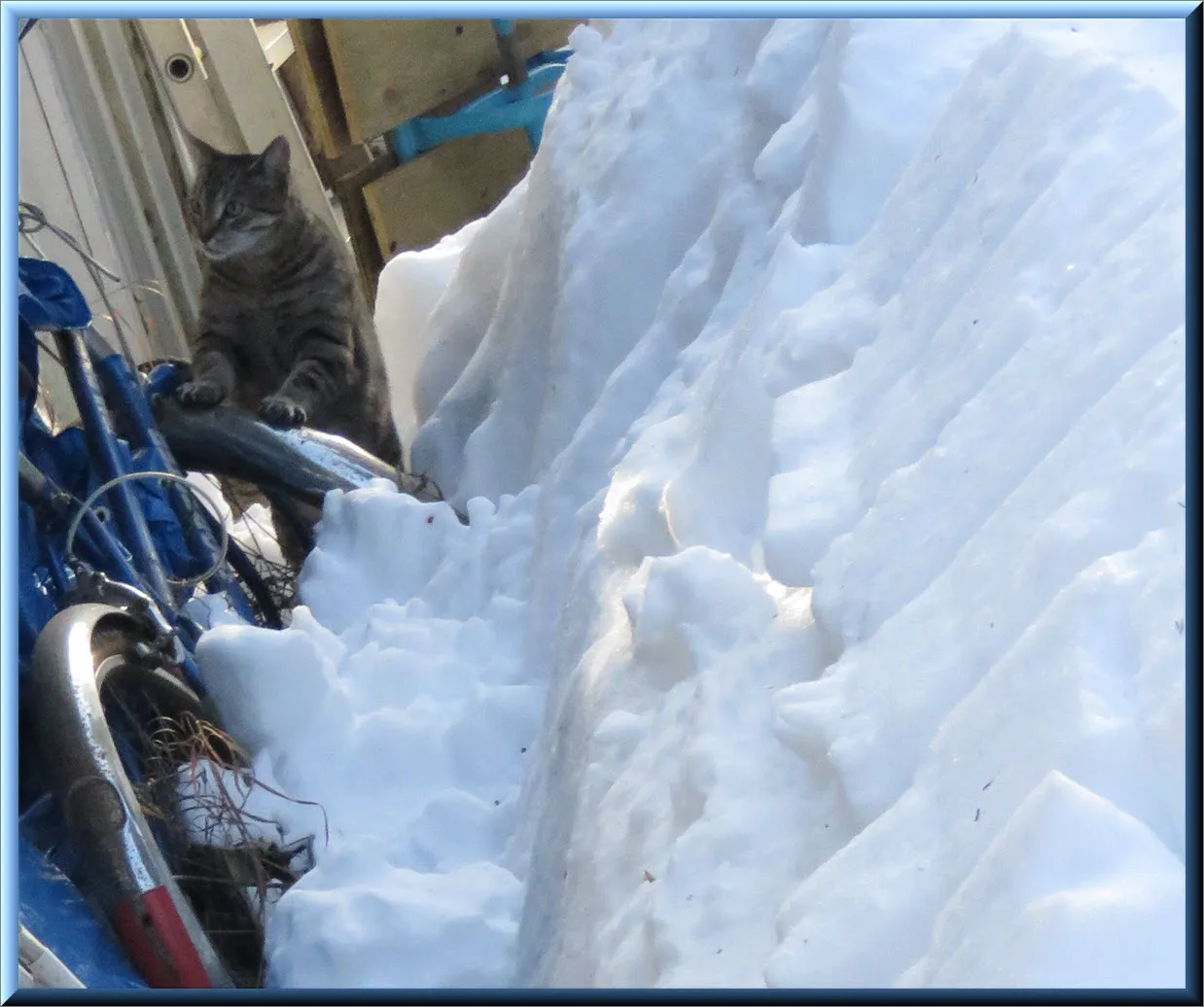 JJ on bike wheel trying to decide how to get across avalance of snow by garage.JPG