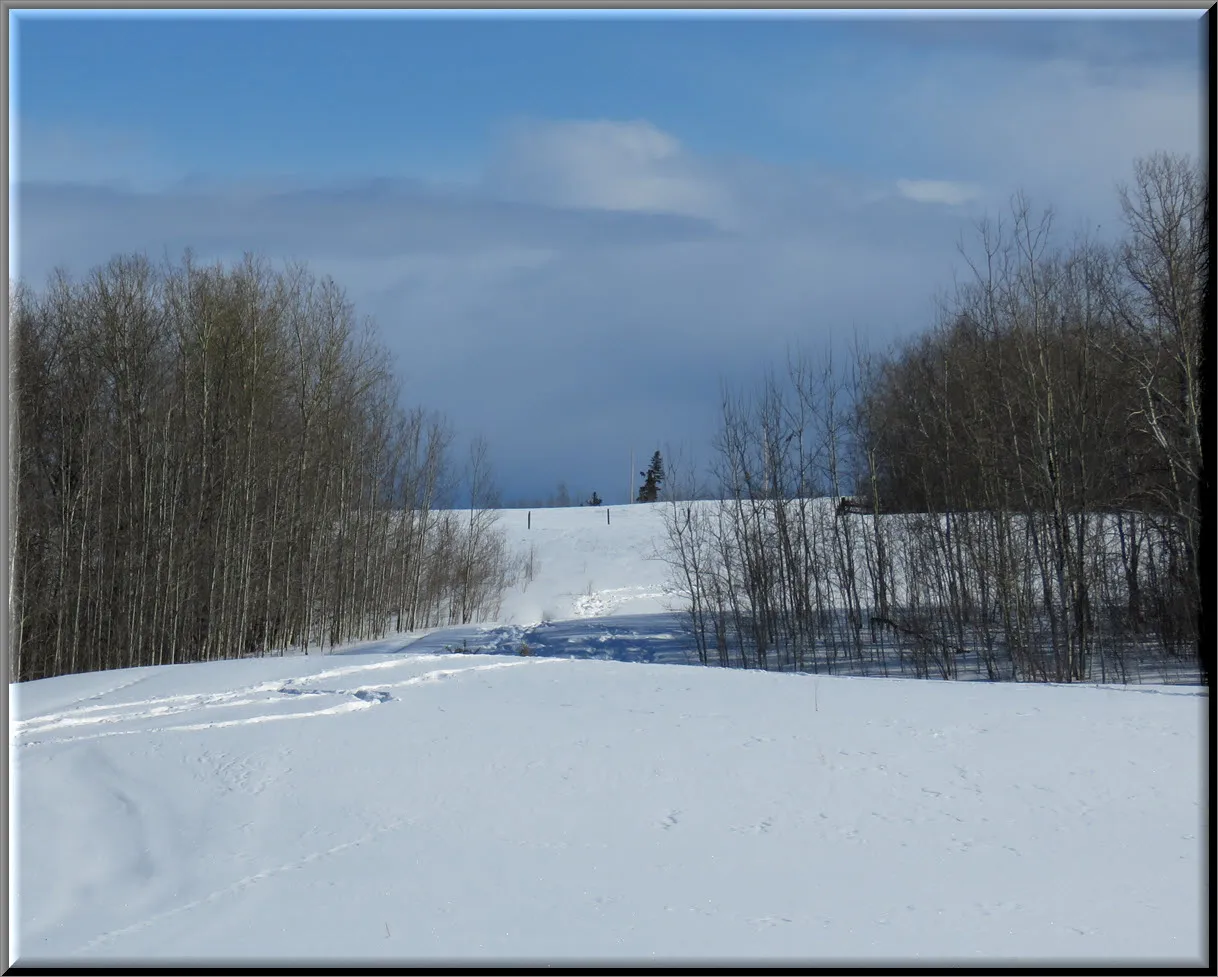 looking north on top of hill clouds forming over Rolfs field lone track in snow.JPG