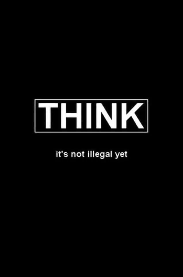 Think Not Illegal Yet 229733112_127320079598656_2783876556225561479_n.jpg
