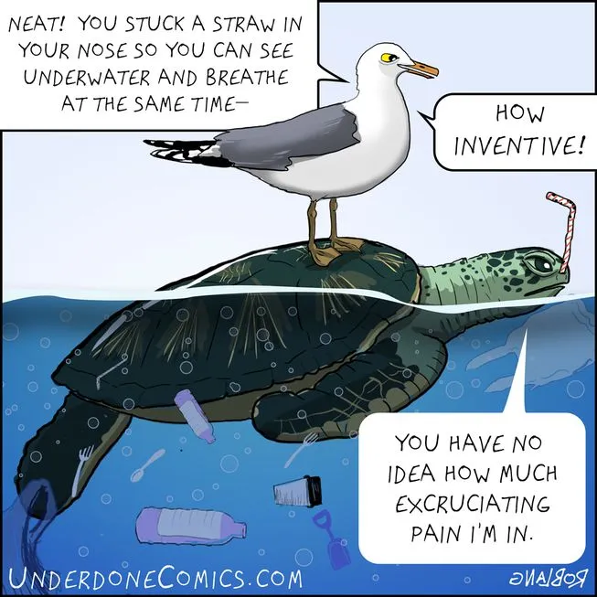 UnderdoneComicSeaBirdSeaTurtleBreathingThroughStraw.png.653x0_q80_crop-smart.jpg