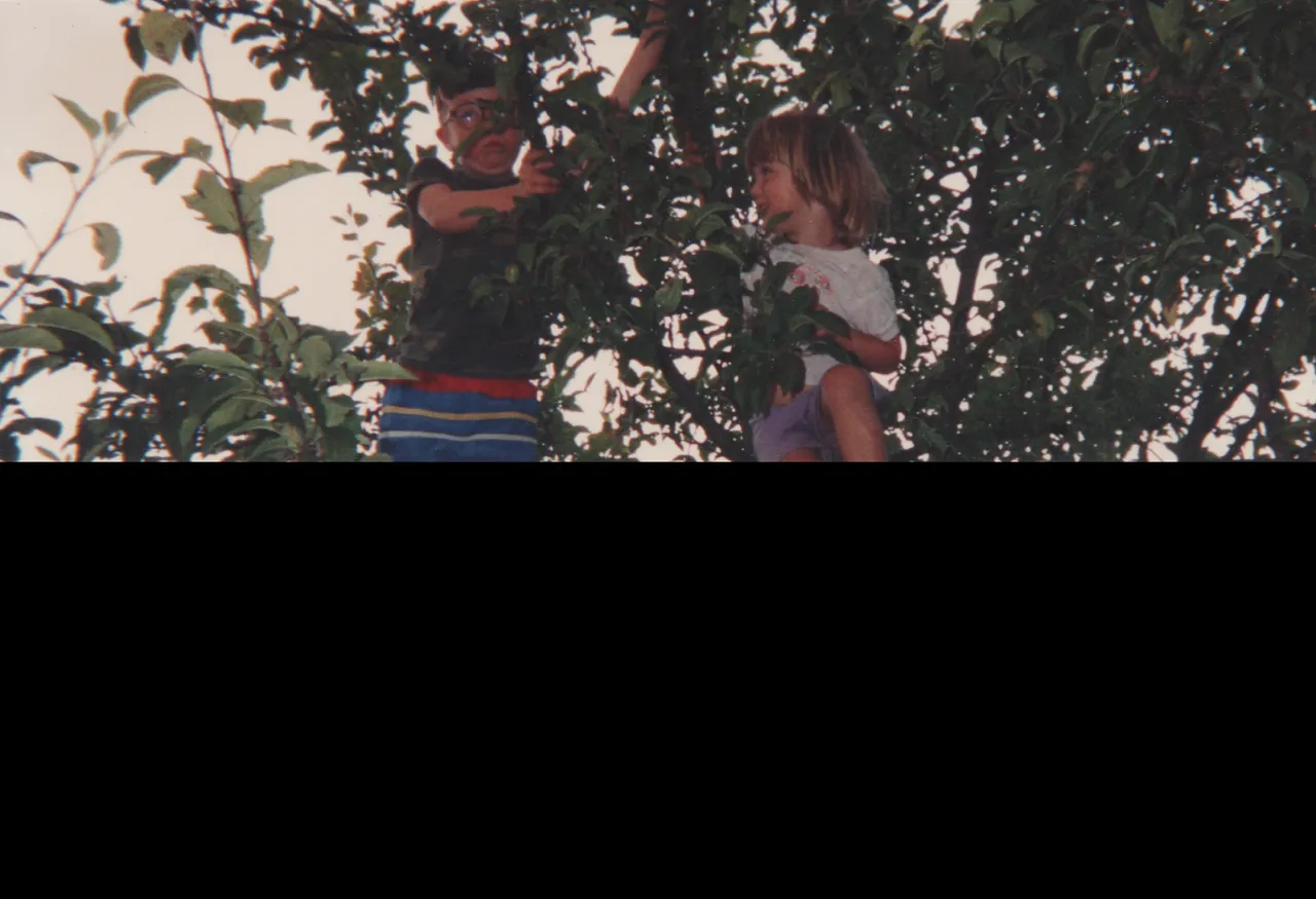 1993-07 - Crystal, Joey, Friends, Others, Pool, Swing, Trees, Summer of 1993 apx, Katie, some photos from other dates, apx date-16.png