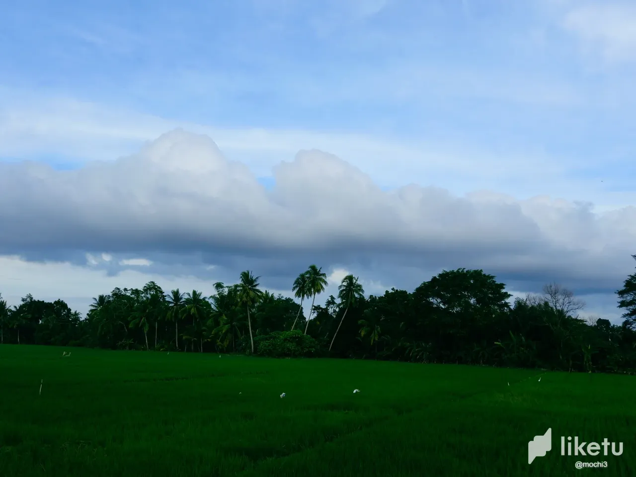 clbz507yb00auaksz5iic4fz1_cloud1.webp