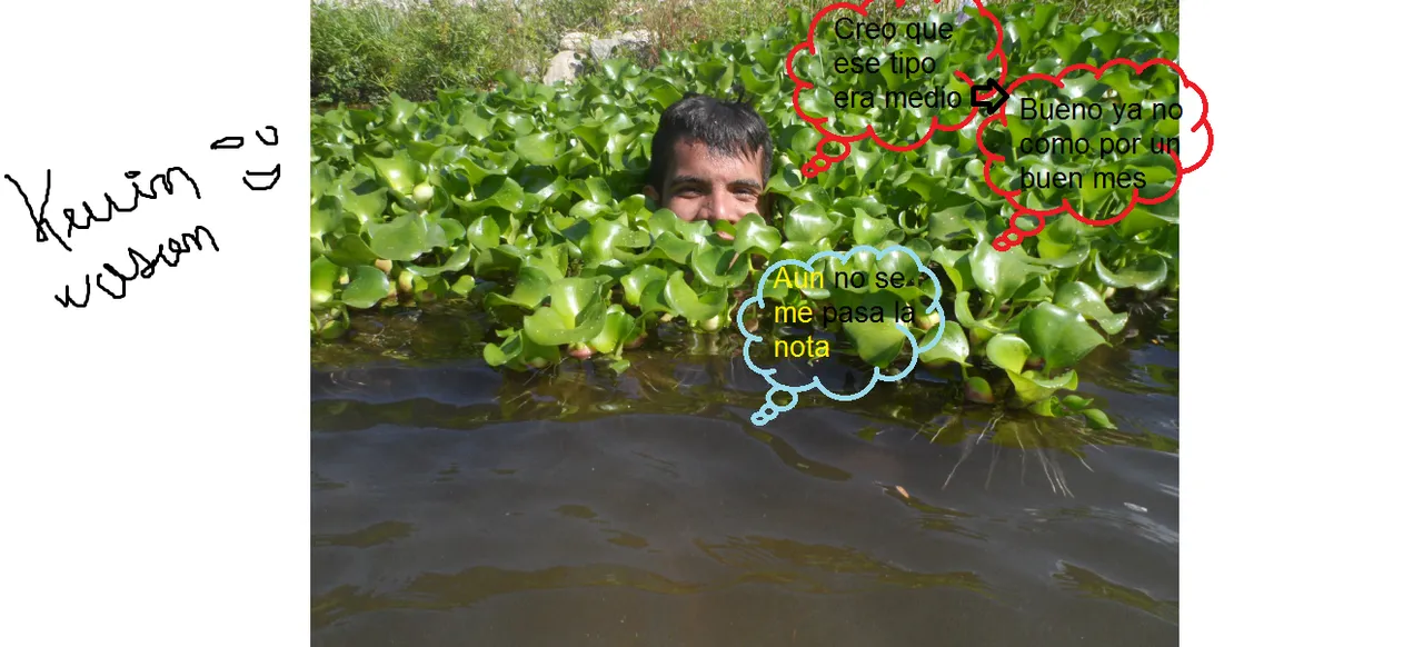 EL descanso del cocodrilo.png