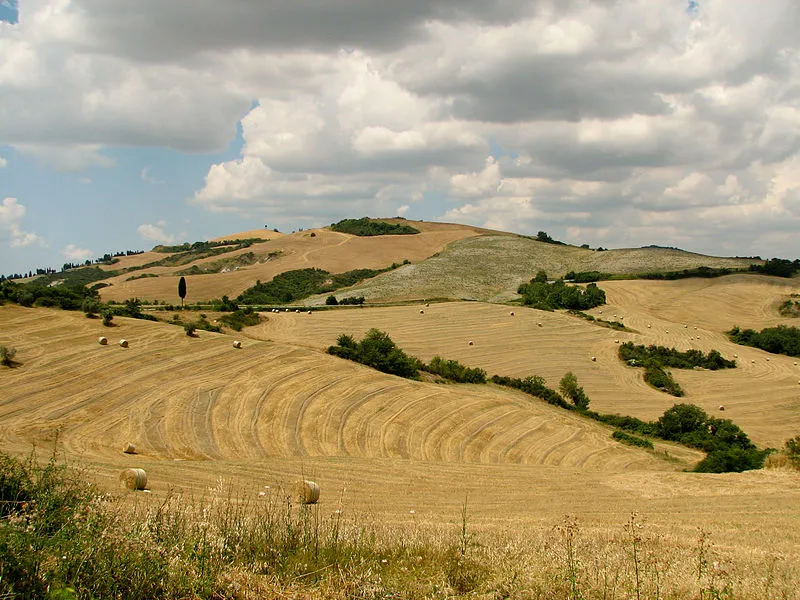 Tuscany_landscape_west_of_Siena.jpg