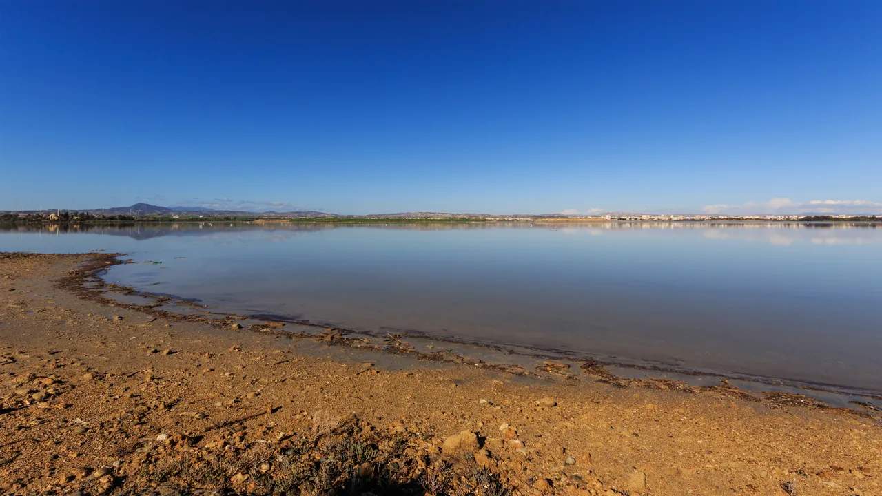 Larnaca_01-2017_img29_Salt_Lake.jpg