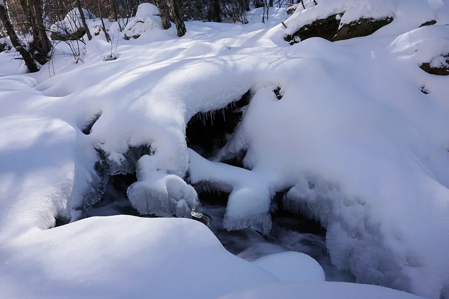 Vladaya_Walk_27_01_2019_ph015_s.jpg
