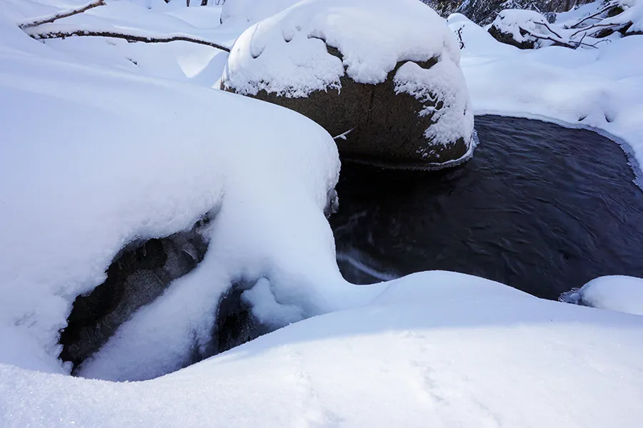 Vladaya_Walk_27_01_2019_ph013_s.jpg