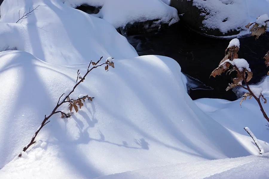 Vladaya_Walk_27_01_2019_ph012_s.jpg