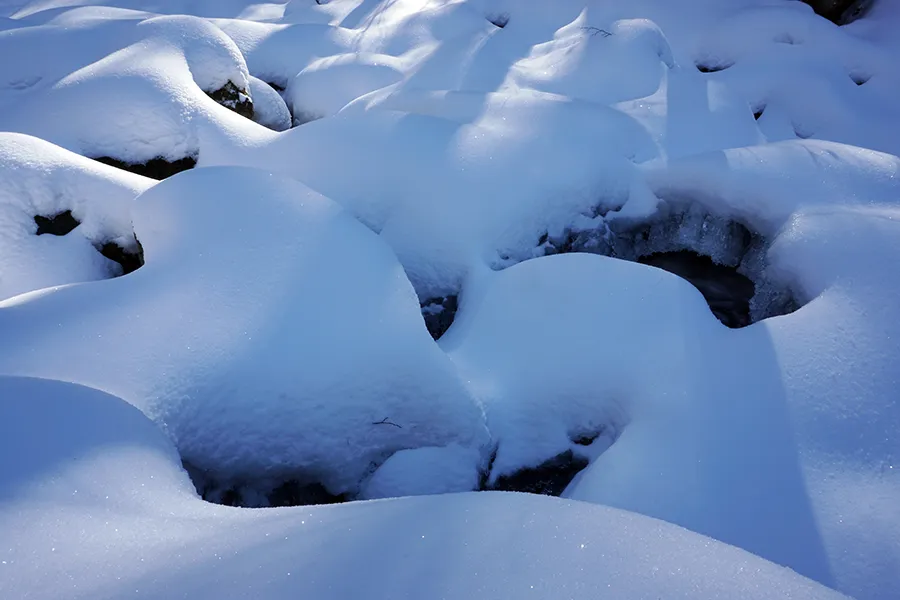 Vladaya_Walk_27_01_2019_ph010_s.jpg