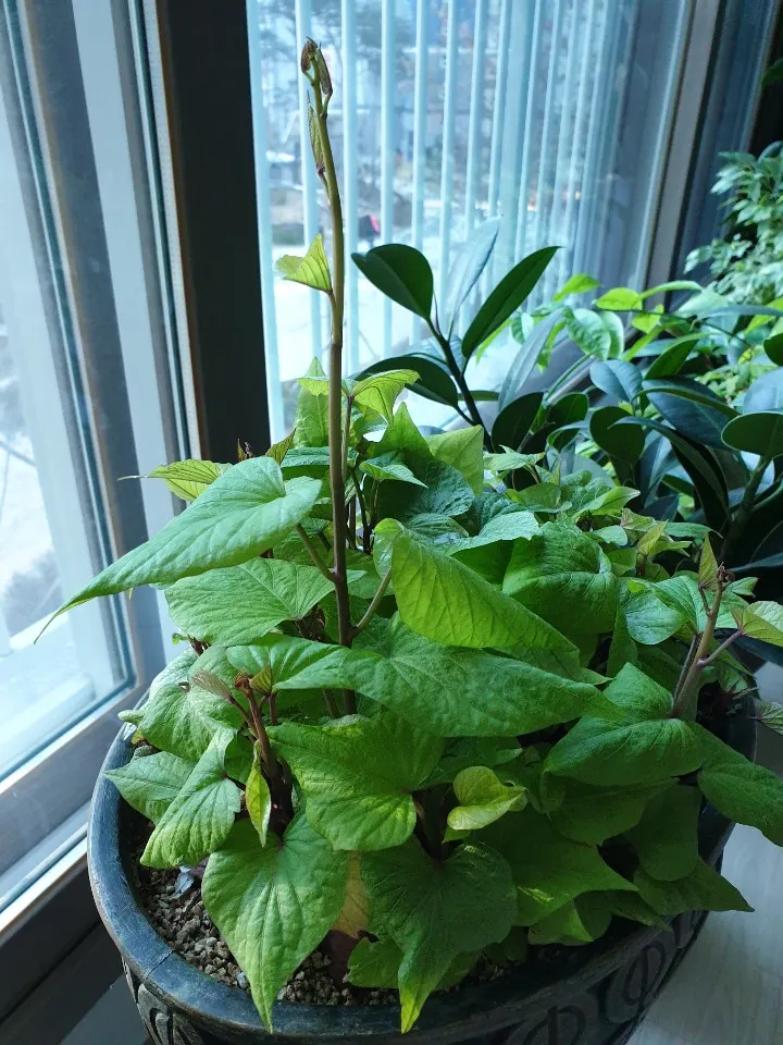 KakaoTalk_20200115_134131466_06.jpg
