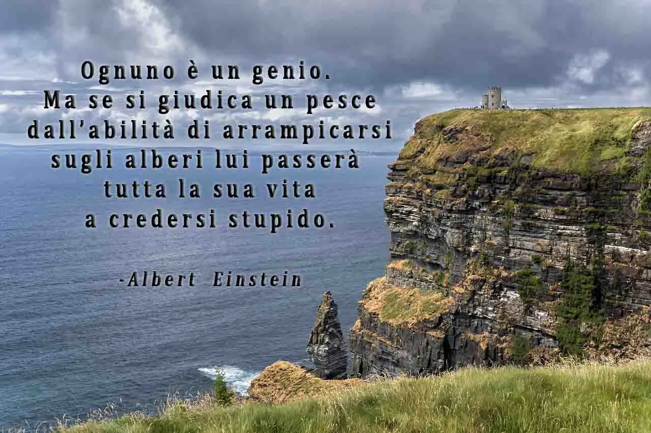 4i.Ognuno è un genio.jpg