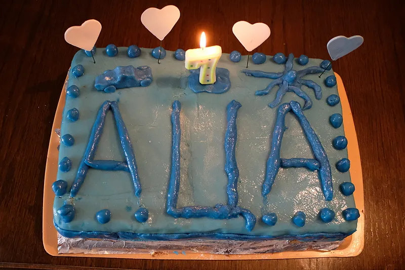 Aca torta-DSCF1735_cr-steemit.jpg