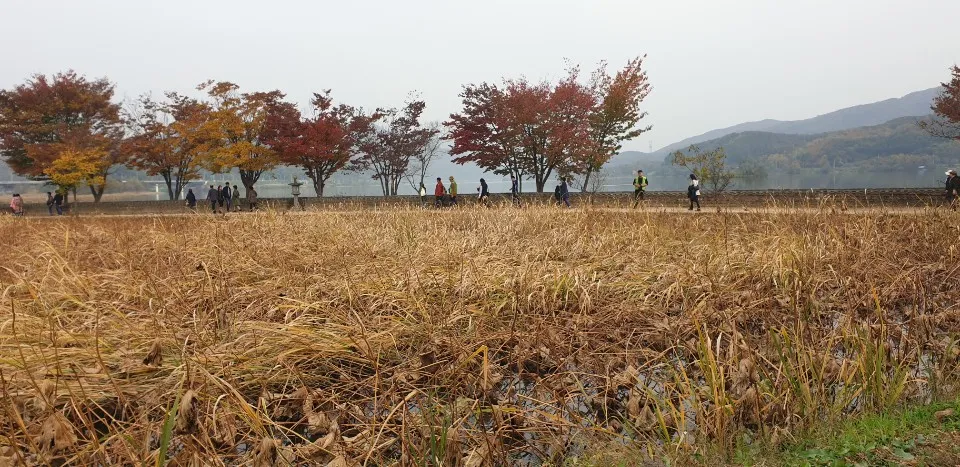 KakaoTalk_20191113_122901279_09.jpg
