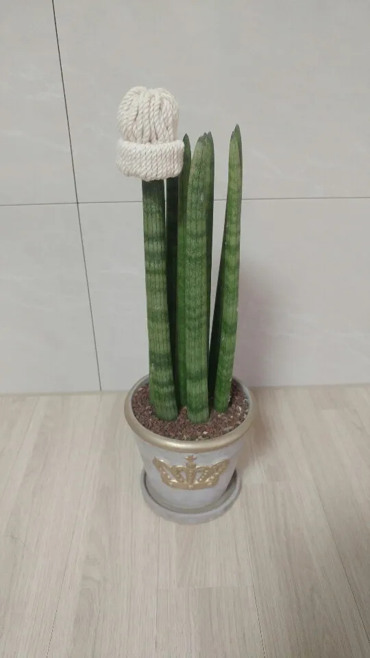 KakaoTalk_20181209_200311847_13.jpg