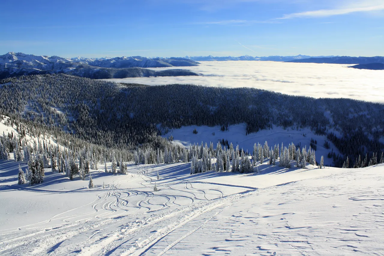 DM_nature_winter_kootenays_1829.JPG