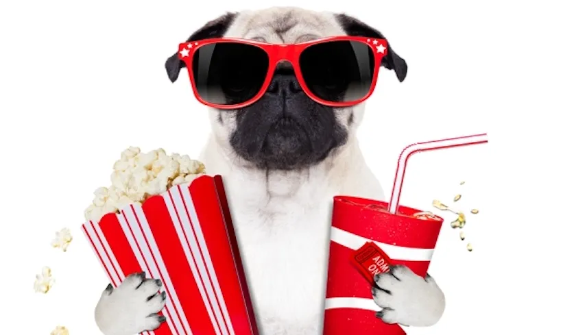 bigstockmoviedog71403670_751892.jpg