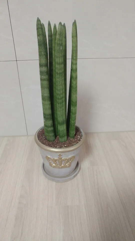 KakaoTalk_20181209_200311847_01.jpg