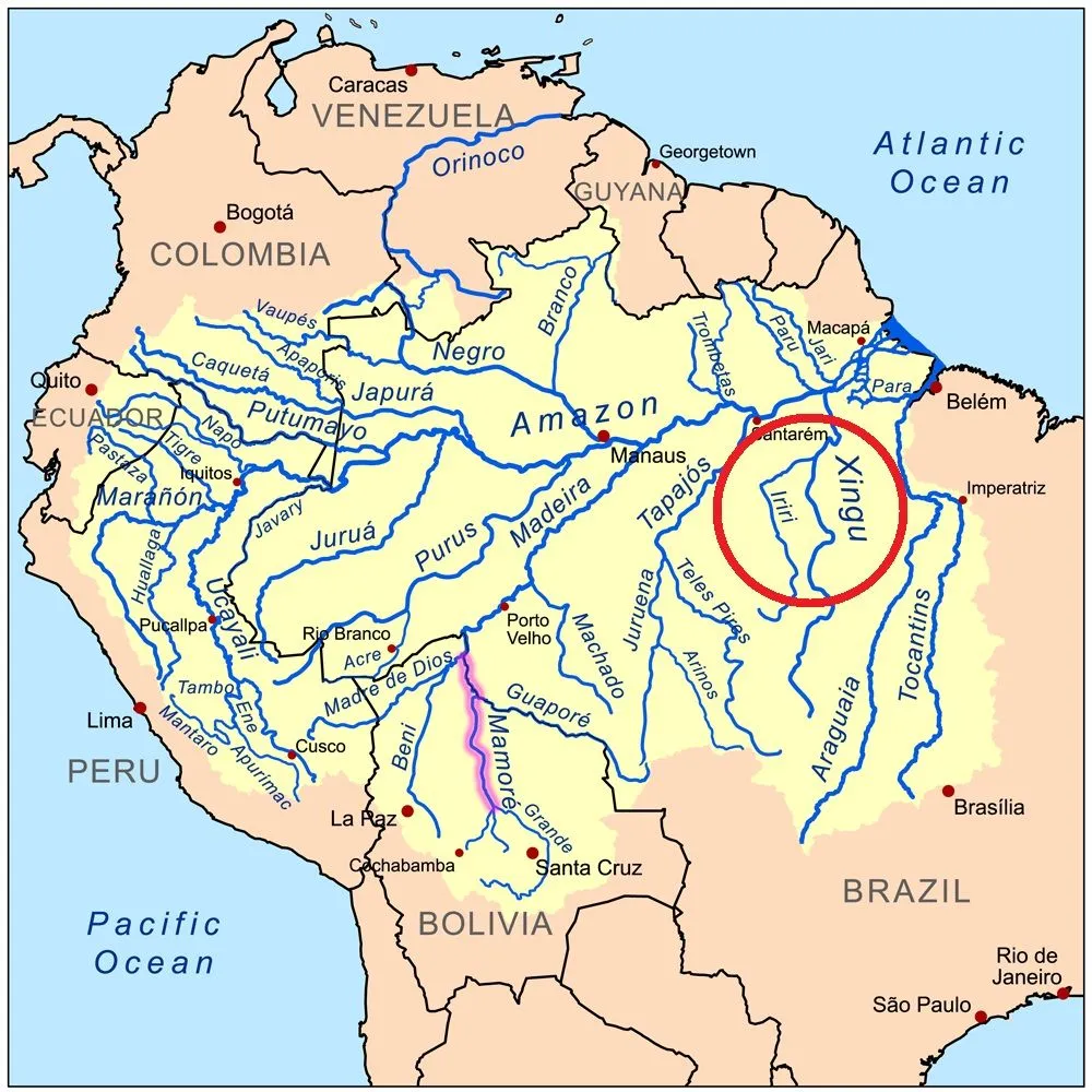 Amazon Xingu.jpg