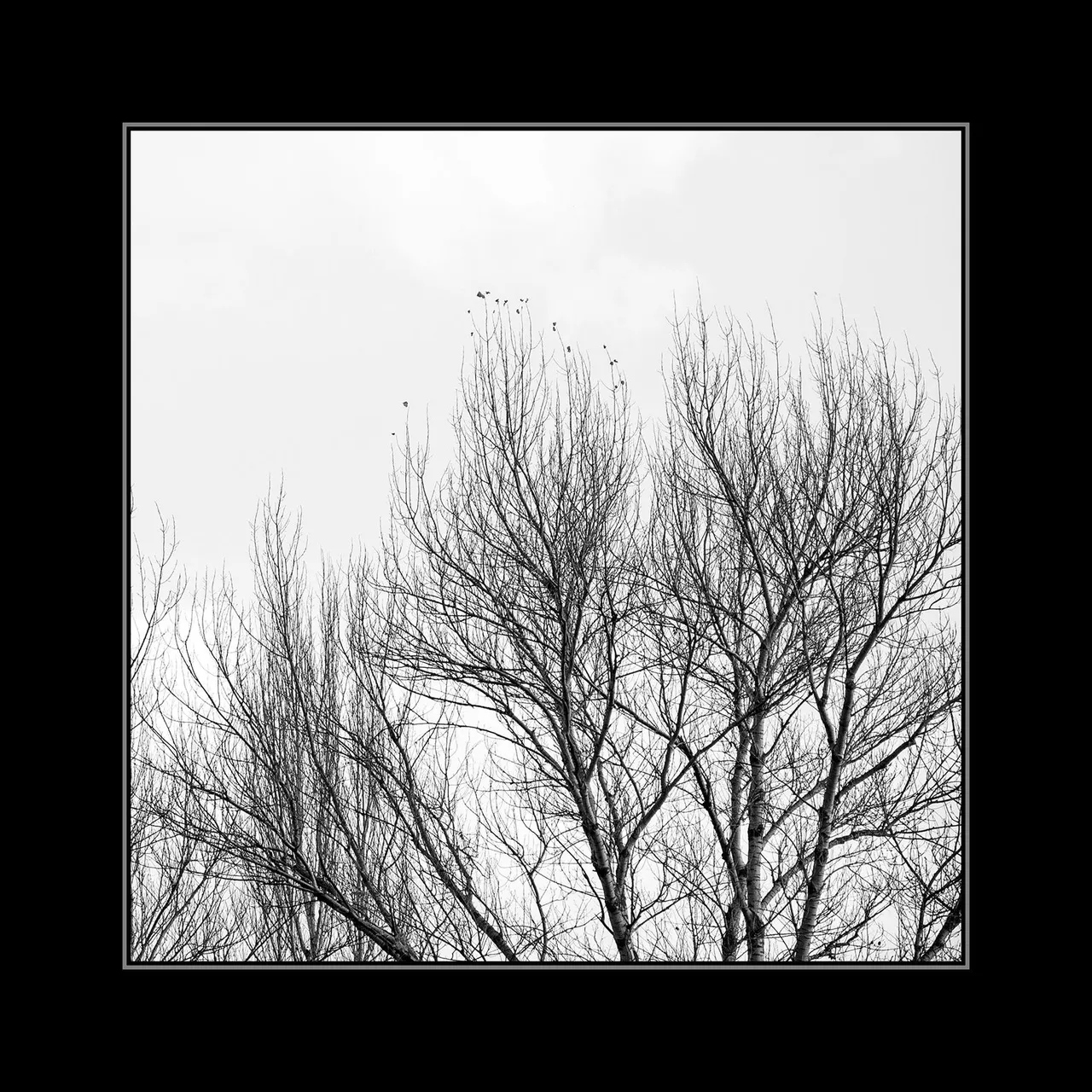 IMG_0875.jpg