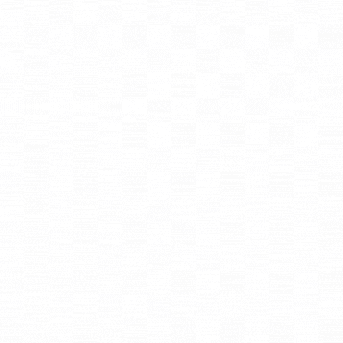 R1-2.gif
