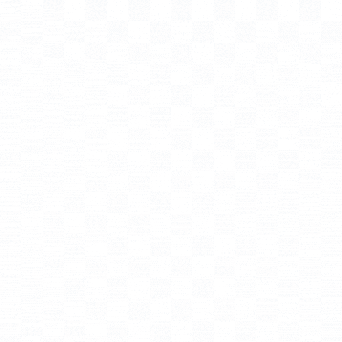 R1-3.gif