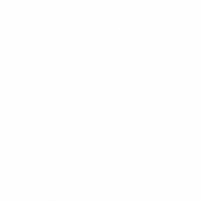R1-02.gif