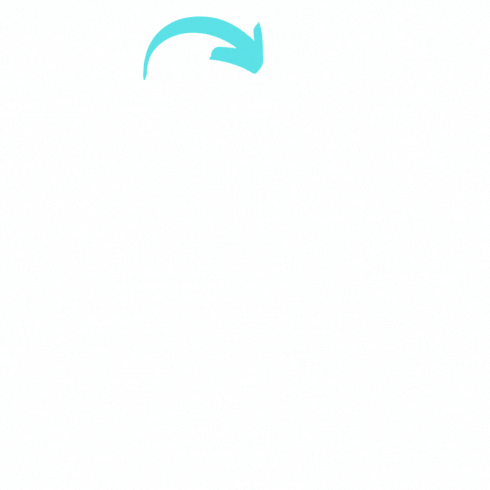 R1-01.gif