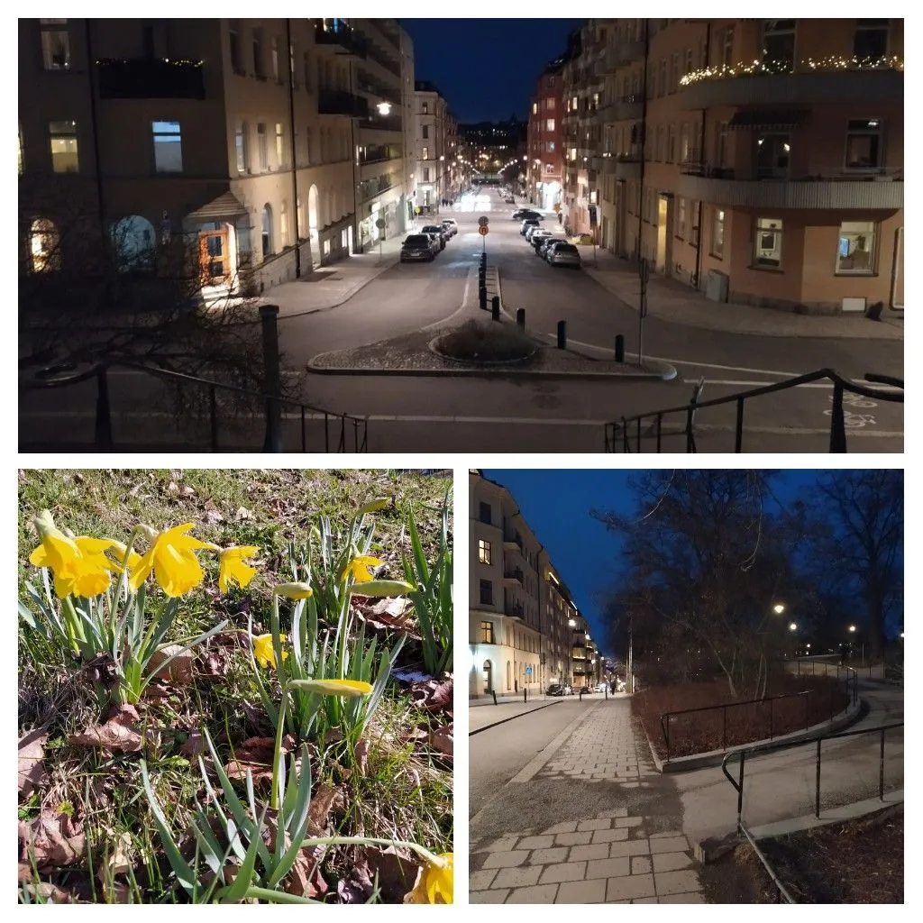 20220407_140709-COLLAGE.jpg