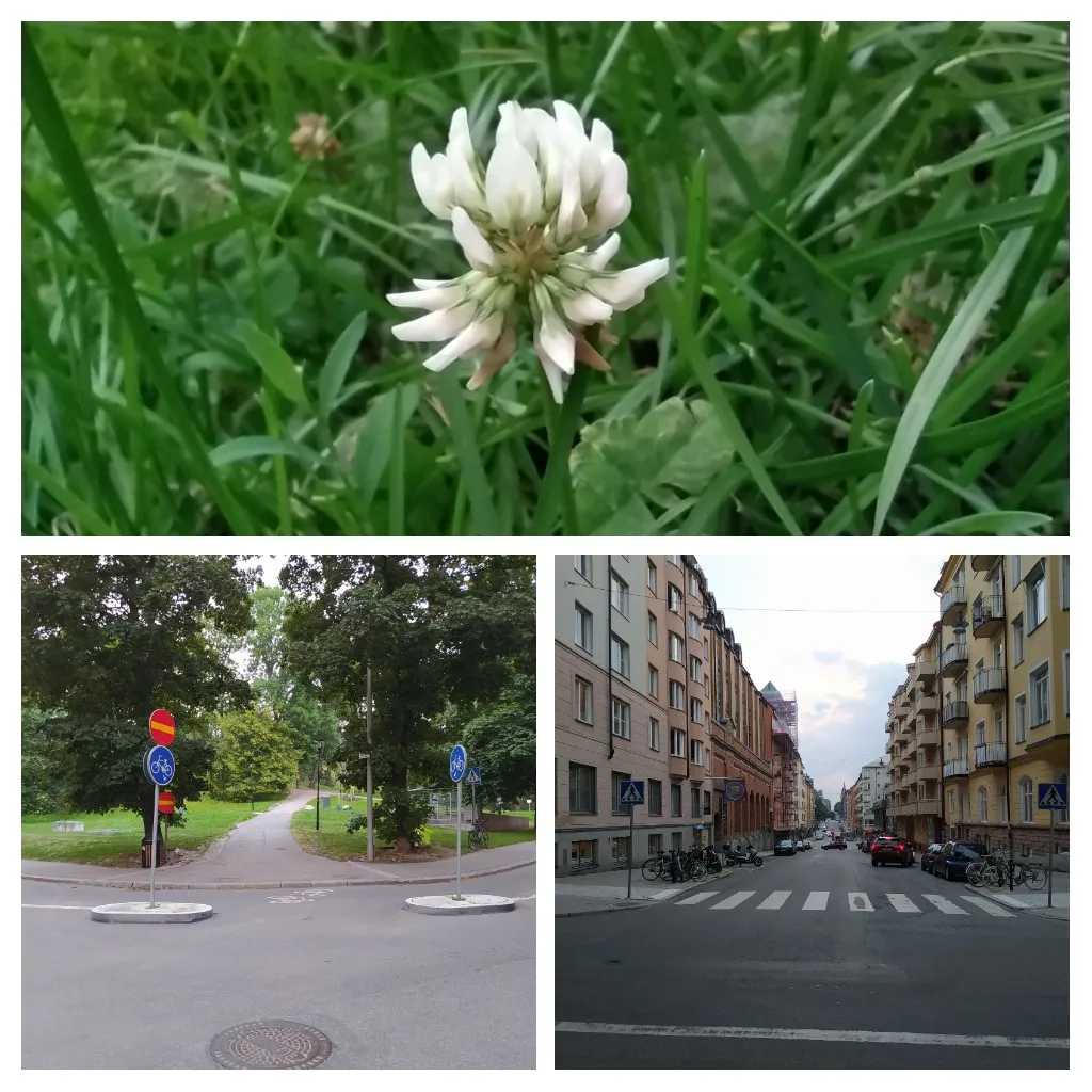 20220701_174106-COLLAGE.jpg