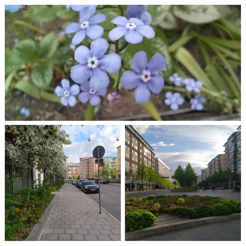 20220526_165929-COLLAGE.jpg