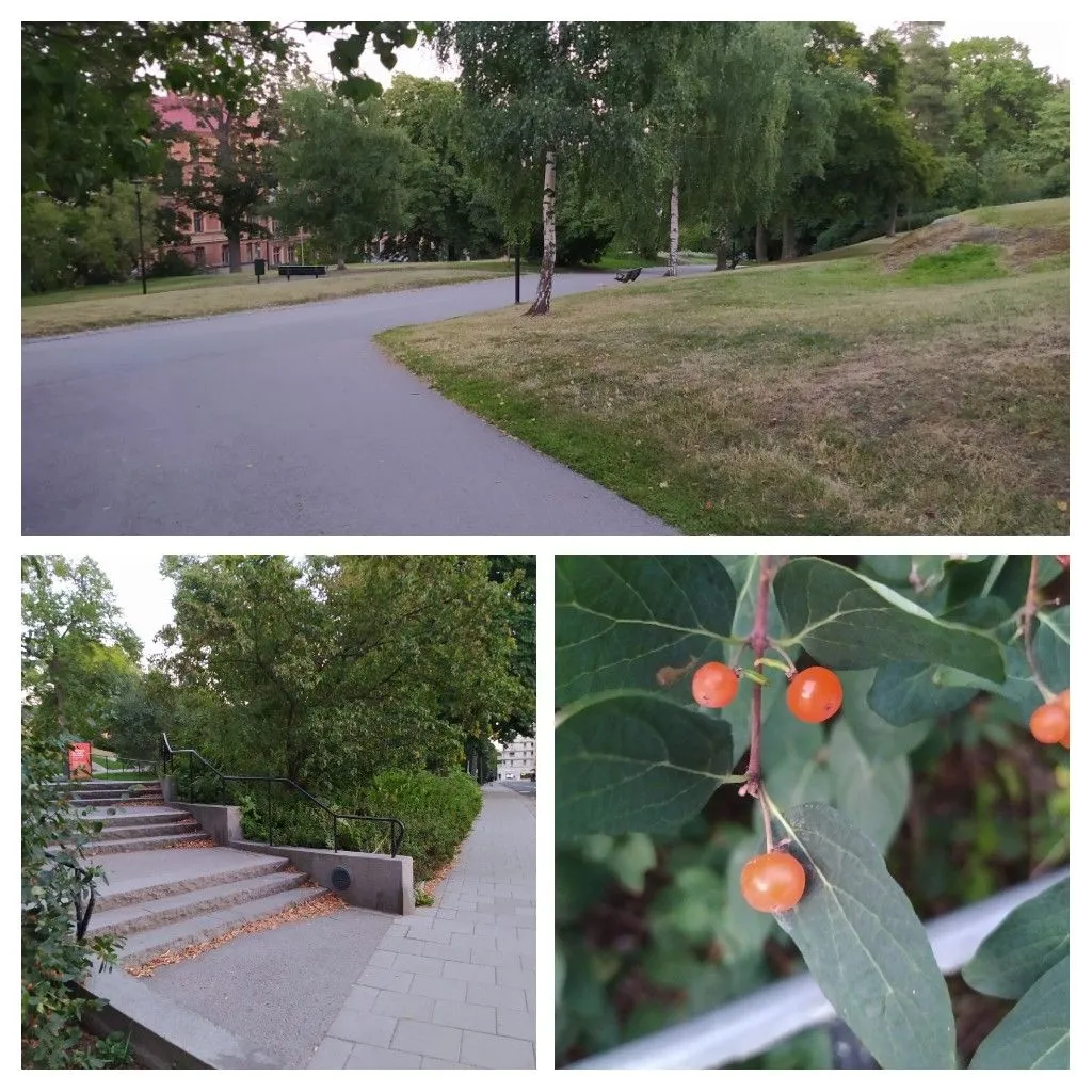 20220814_152059-COLLAGE.jpg