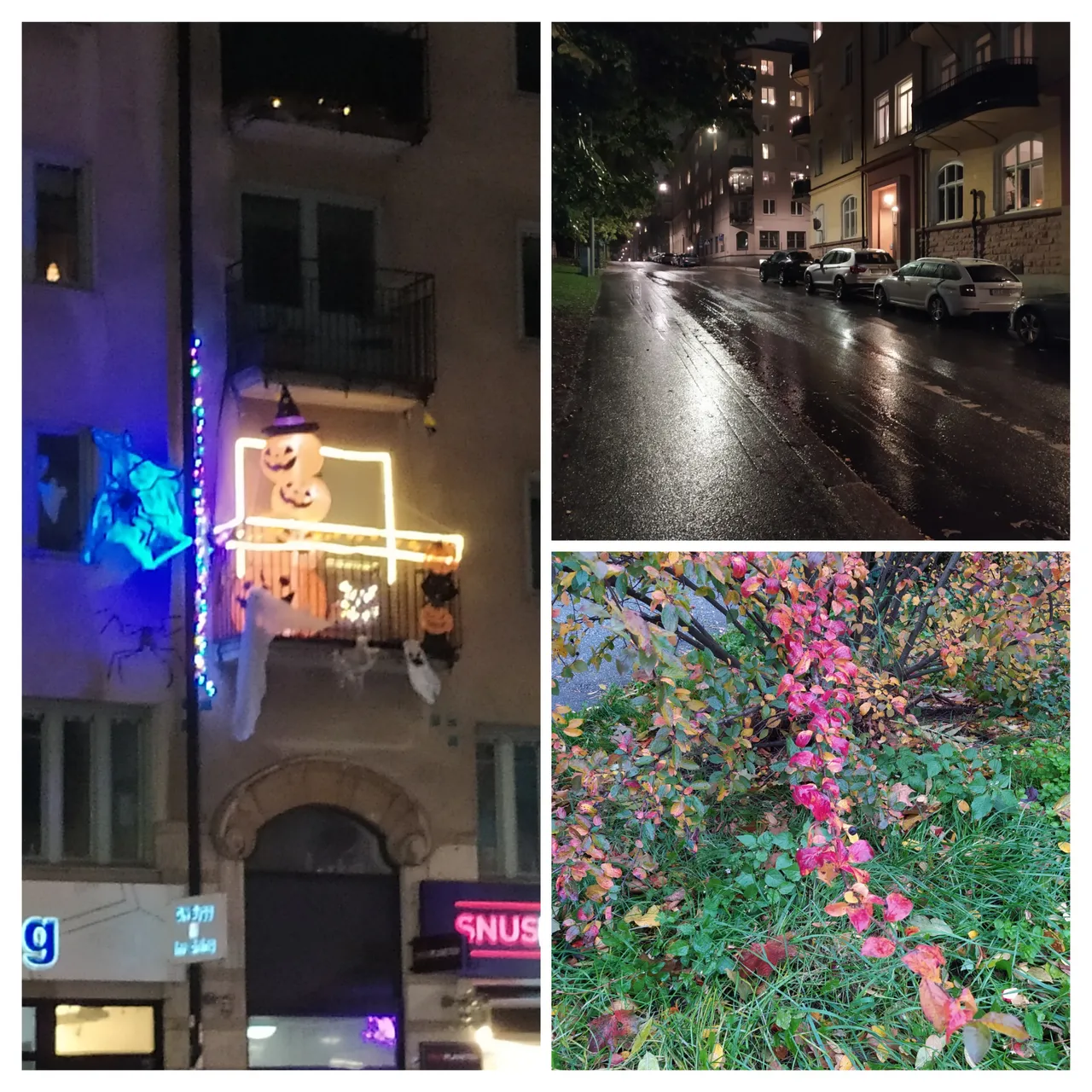 20231022_200149-COLLAGE.jpg